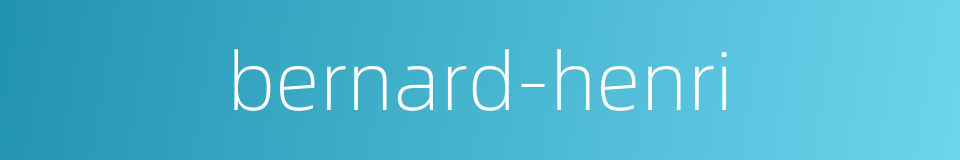 bernard-henri的同义词