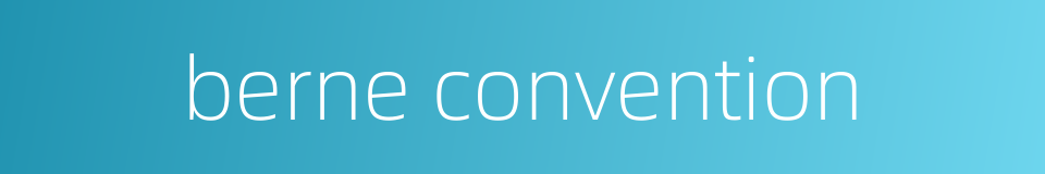 berne convention的同义词