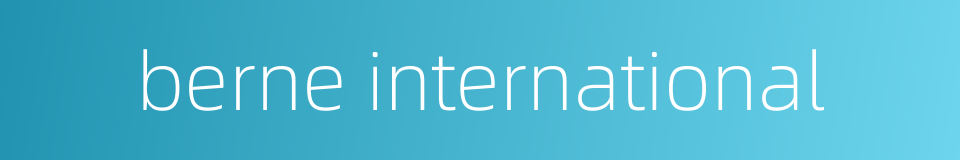 berne international的同义词