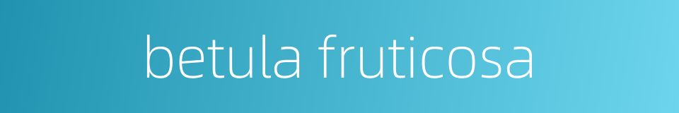 betula fruticosa的同义词