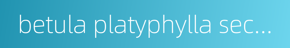 betula platyphylla secondary forest的同义词