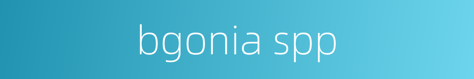bgonia spp的同义词
