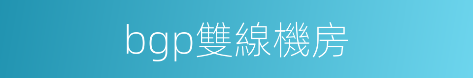 bgp雙線機房的同義詞