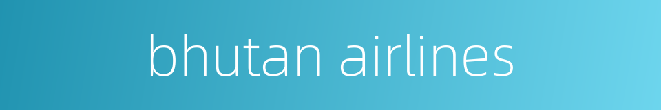 bhutan airlines的同义词