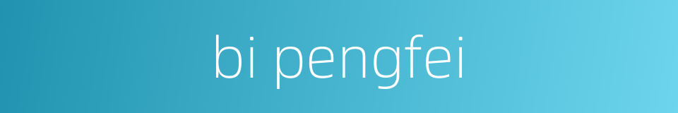 bi pengfei的同义词