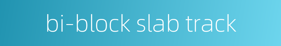 bi-block slab track的同义词