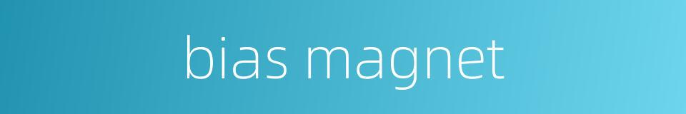 bias magnet的同义词