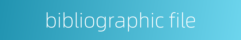 bibliographic file的同义词