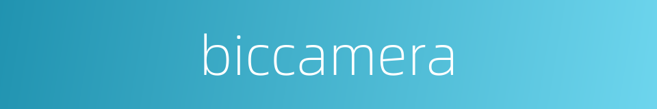 biccamera的同义词