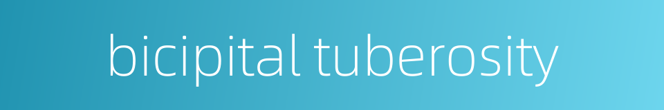 bicipital tuberosity的同义词
