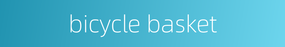 bicycle basket的同义词