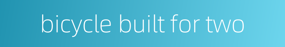 bicycle built for two的同义词