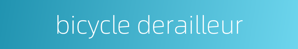 bicycle derailleur的同义词