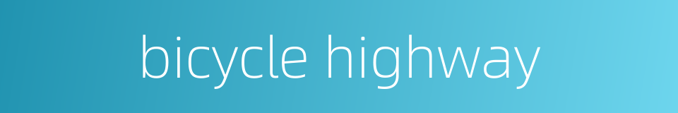 bicycle highway的同义词