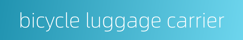 bicycle luggage carrier的同义词