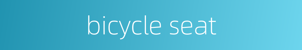 bicycle seat的同义词