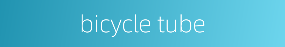 bicycle tube的同义词