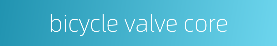 bicycle valve core的同义词