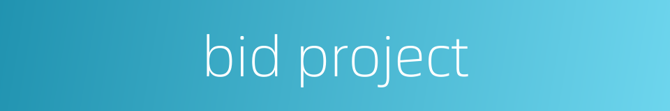bid project的同义词