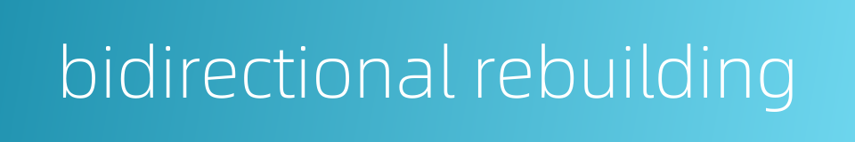 bidirectional rebuilding的同义词