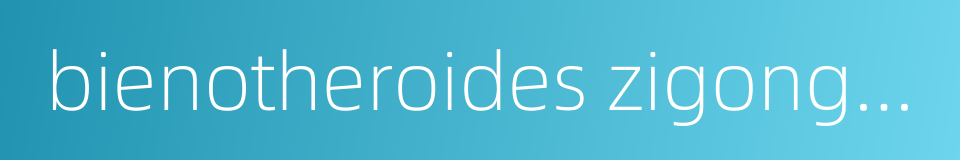 bienotheroides zigongensis的同义词