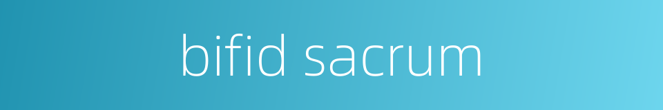 bifid sacrum的同义词