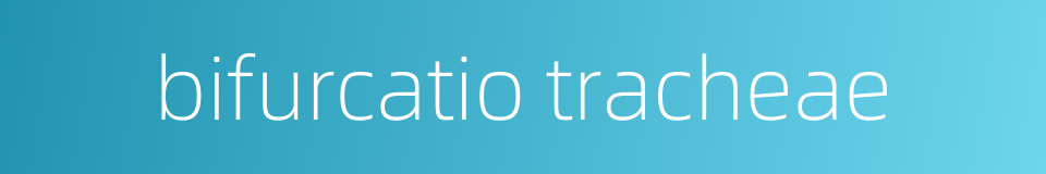 bifurcatio tracheae的同义词