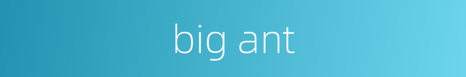 big ant的同义词