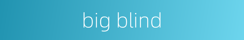 big blind的同义词