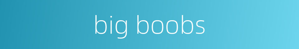 big boobs的同义词