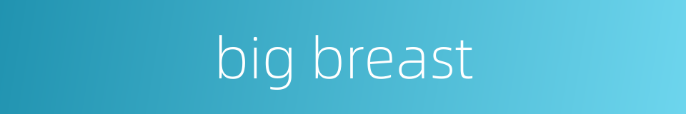 big breast的同义词