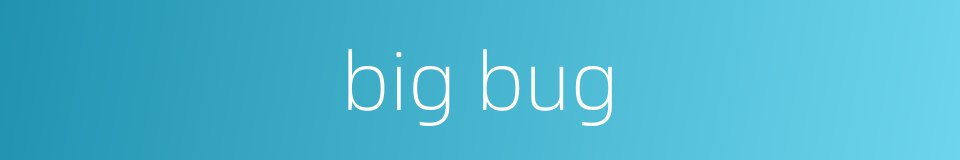 big bug的同义词