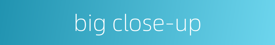 big close-up的同义词
