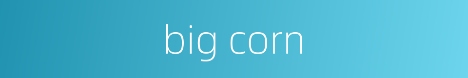 big corn的同义词