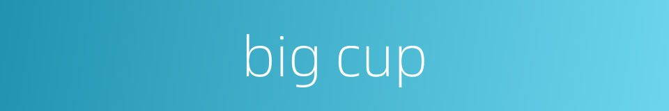 big cup的同义词
