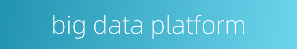 big data platform的同义词