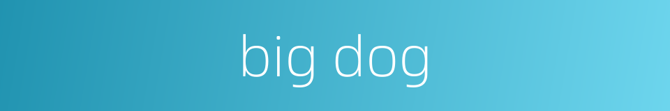 big dog的同义词
