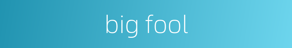 big fool的同义词