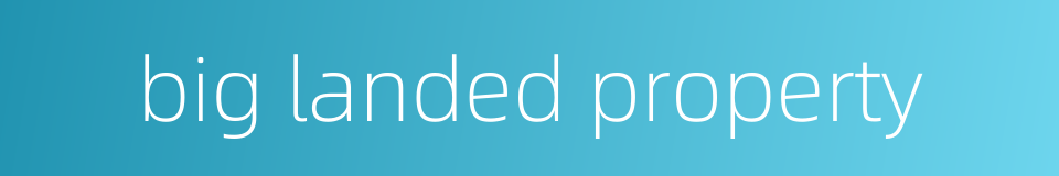 big landed property的同义词