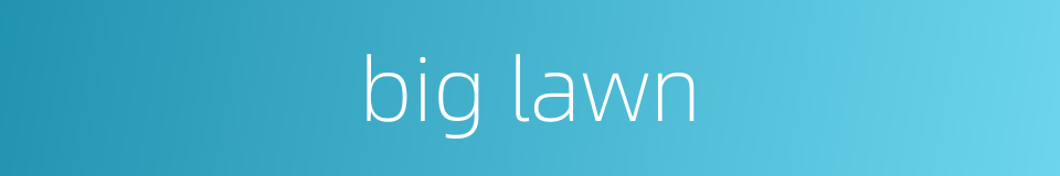 big lawn的同义词
