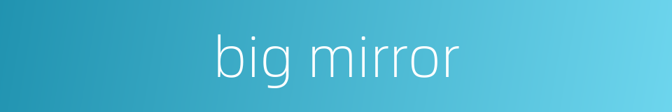 big mirror的同义词