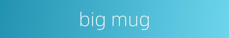big mug的同义词