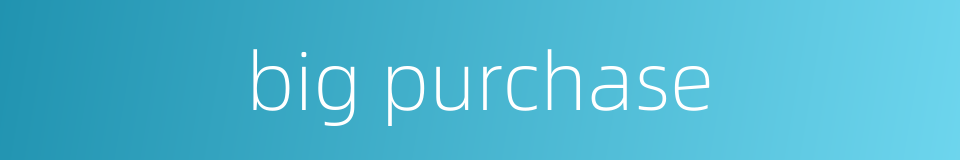 big purchase的同义词