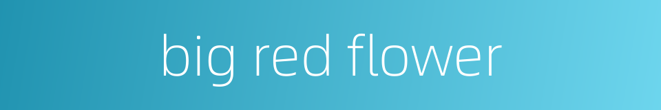big red flower的同义词
