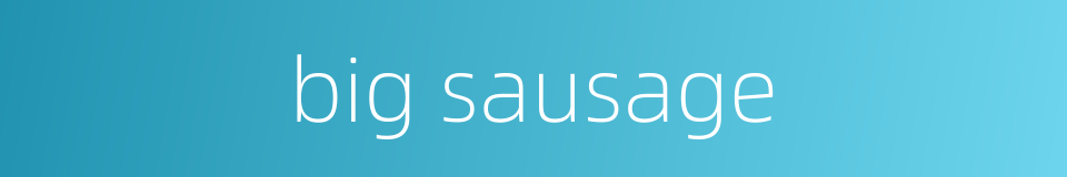 big sausage的同义词