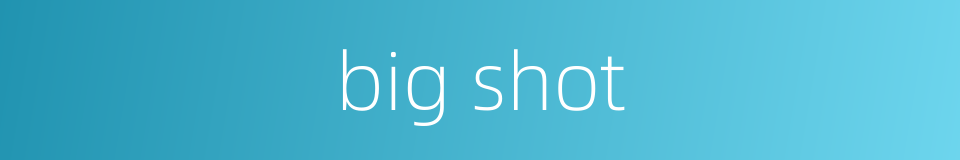 big shot的同义词