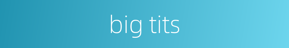 big tits的同义词