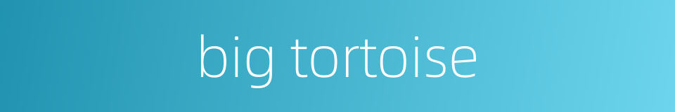 big tortoise的同义词