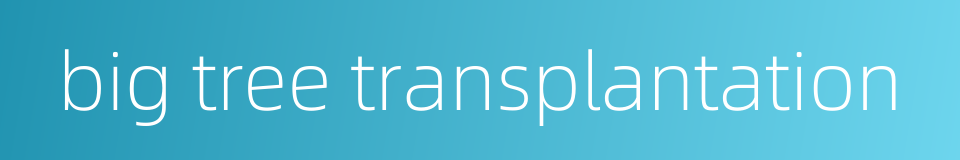 big tree transplantation的同义词