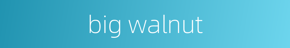 big walnut的同义词